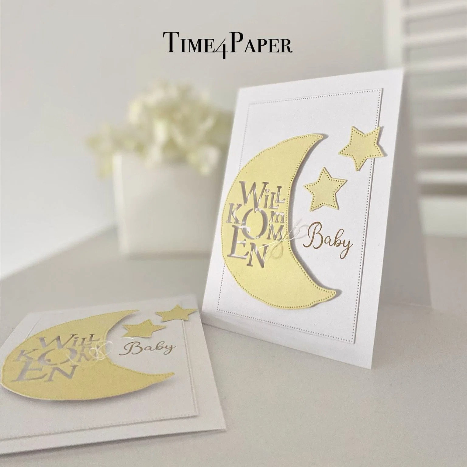 Nouvel Arrivage 2026 : Pochoir - Baby Food Diary avis et prix